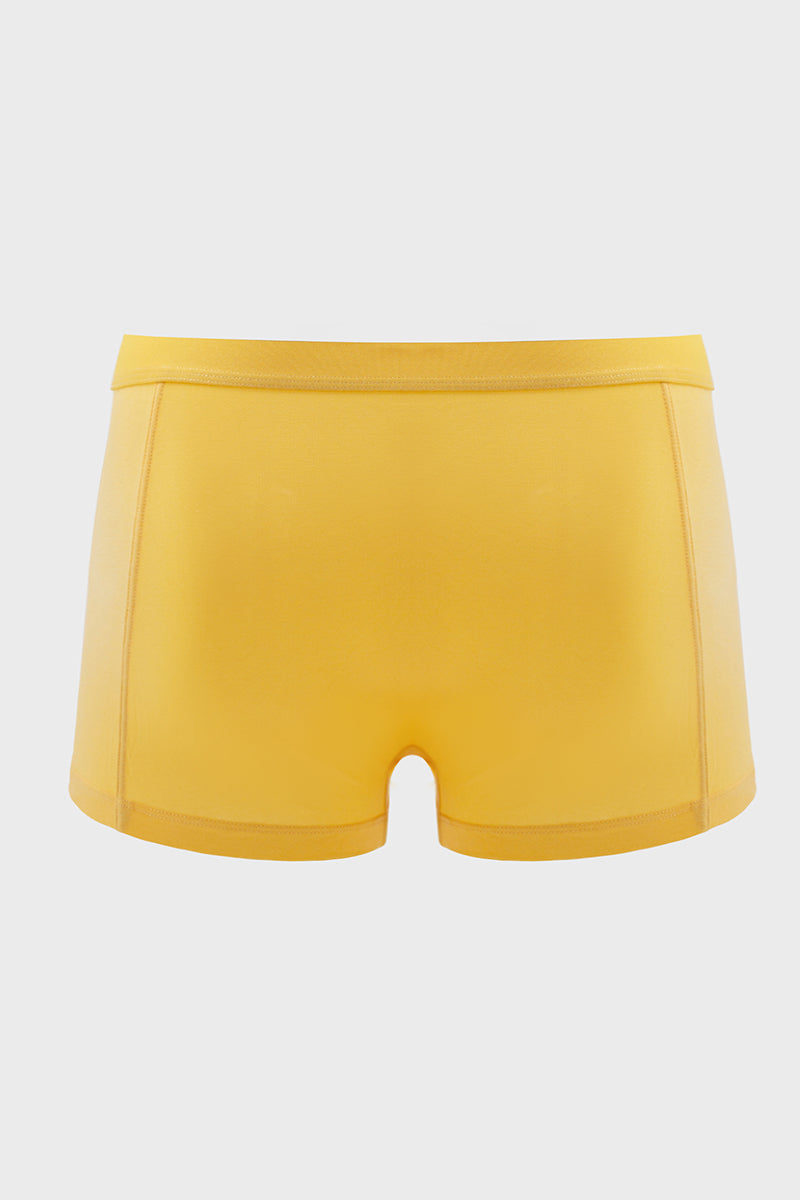Trunk Brief