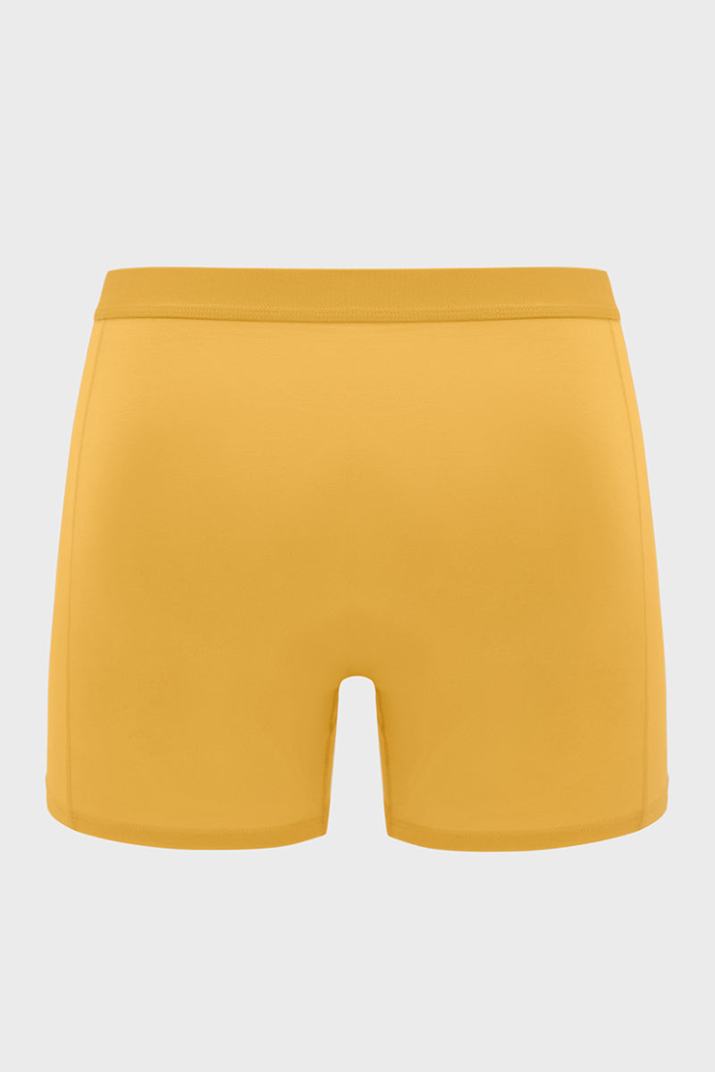 Boxer Brief