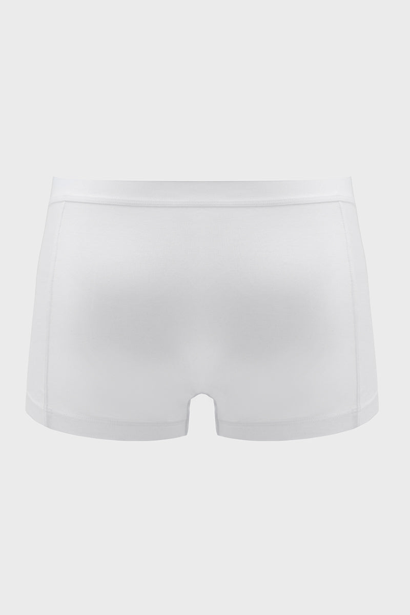 Trunk Brief