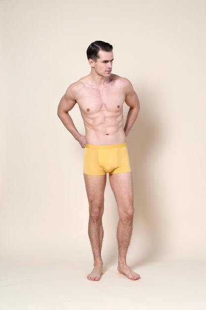 Trunk Brief - 2 pack