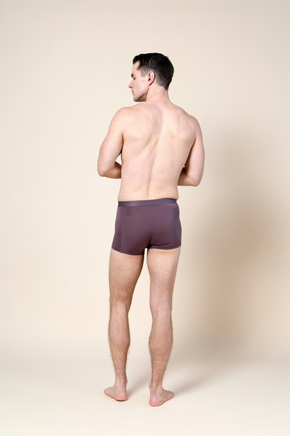 Trunk Brief