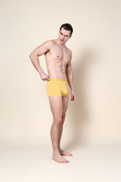 Trunk Brief