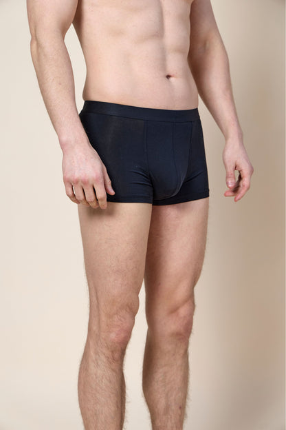 Trunk Brief