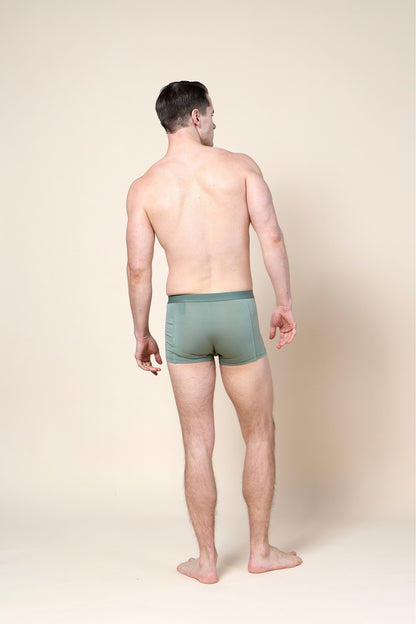 Trunk Brief