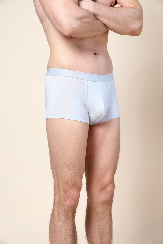 Trunk Brief