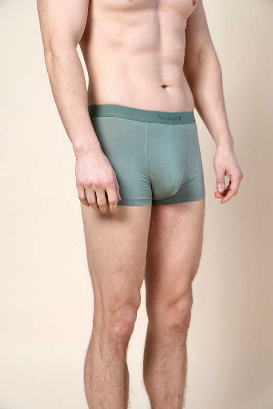 Trunk Brief
