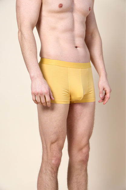Trunk Brief