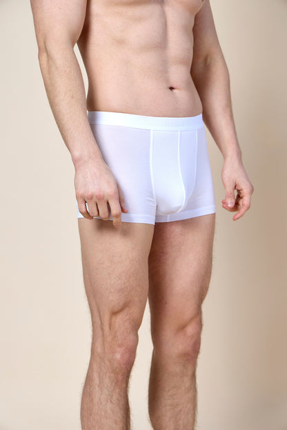 Trunk Brief