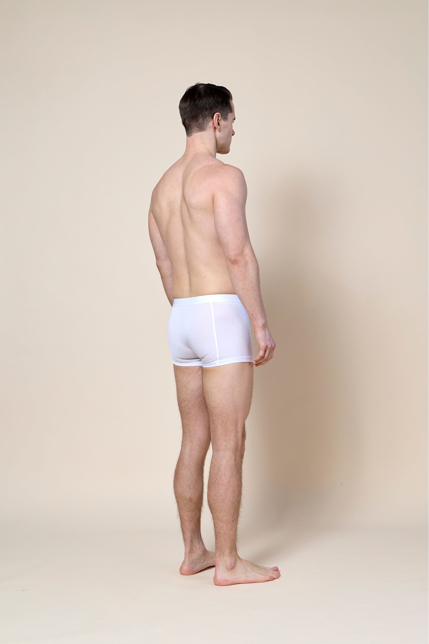 Trunk Brief
